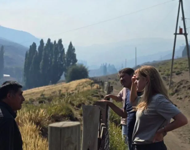 WhatsApp Image 2025-02-16 at 14.59.49-2