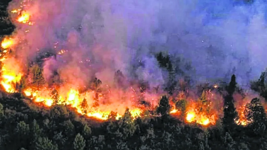 Incendio-forestal en Neuquen
