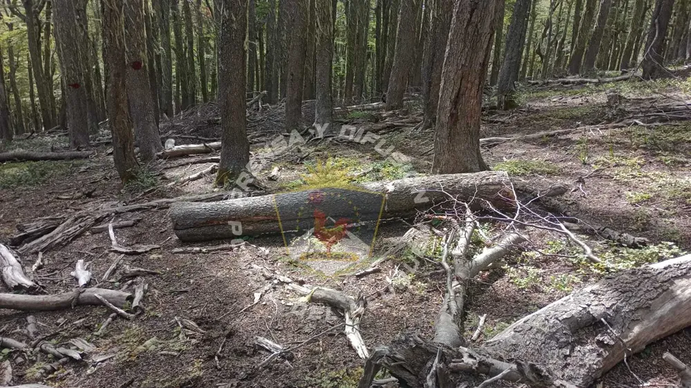 485747367_1076378314520738_8896710913818229231_n