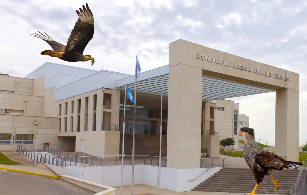 WhatsApp Image 2025-03-11 at 11.50.49