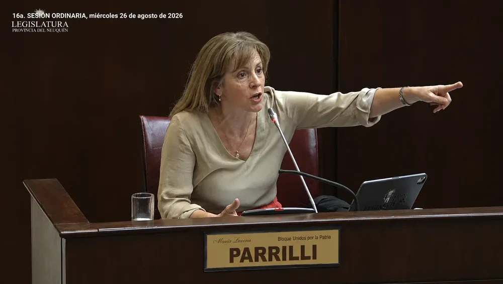 Diputada Lorena Parrilli